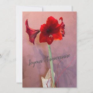 Fleur Amaryllis