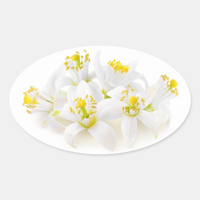 Fleur d'oranger ovaler aufkleber (Vorderseite)