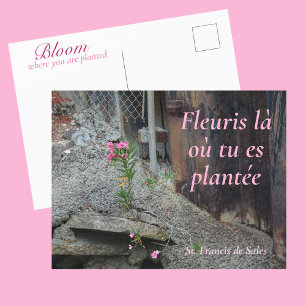 Fleuris là où tu es plantée Rosa Floral Postkarte