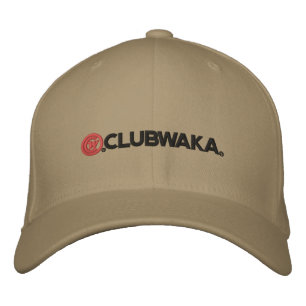 Flex-Hut mit Logo auf der Rückseite Bestickte Baseballkappe