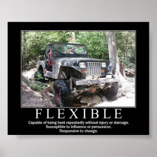 FLEXIBL POSTER