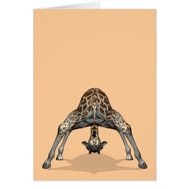 Flexible Giraffe (Vorne)