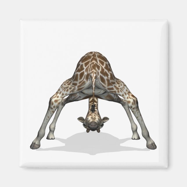 Flexible Giraffe Magnet (Vorne)