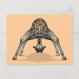 Flexible Giraffe Postkarte