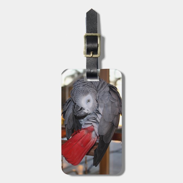 Flexibler afrikanisches Grau-Papagei des Kongos Gepäckanhänger (Vorderseite vertikal)