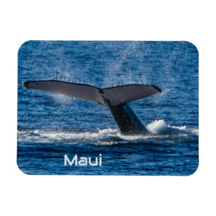Flexibler Magnet für den Schwanz Humpback