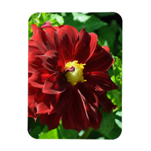 Flexibles Foto Magnet