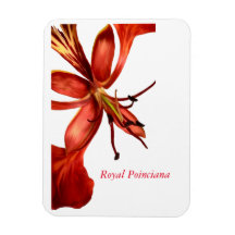 Flexibles Foto Magnet Royal Poinciana