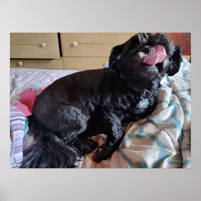 Flicker der Zunge Poster (Vorne)