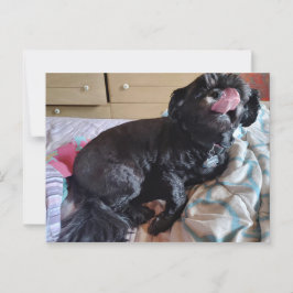 Flicker der Zunge Postkarte
