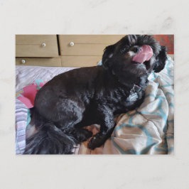 Flicker der Zunge Postkarte