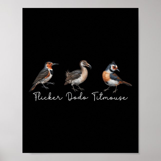 Flicker Dodo Titmouse Funny Bird Clever Birdwatche Poster (Vorne)