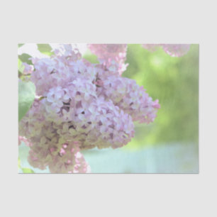 Flieder Purpur Blumen Wasserfarbe Kunst Land Desig Seidenpapier