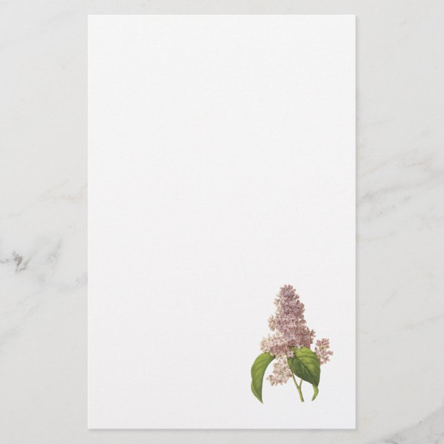 Flieder (Syringa-SP.) durch Redouté Briefpapier (Vorderseite)