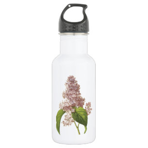 Flieder (Syringa sp.) von Redouté Edelstahlflasche