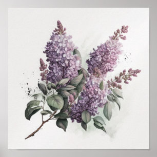 Fliederblumen-Kunstposter Poster