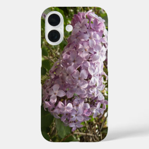 Fliederblütencluster Frühlingsblumen iPhone 16 Hülle