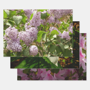 Fliederbusch schöne lila Frühlingsblumen Geschenkpapier Set