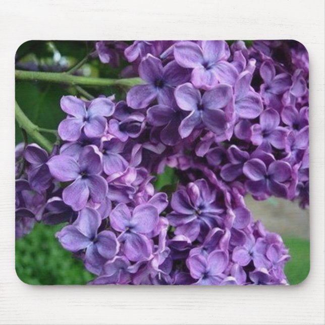Fliedern Mousepad (Vorne)