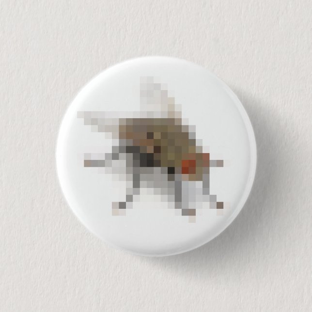 Fliege. Button (Vorderseite)