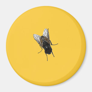 Fliege Magnet