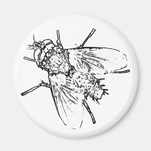 Fliege Magnet