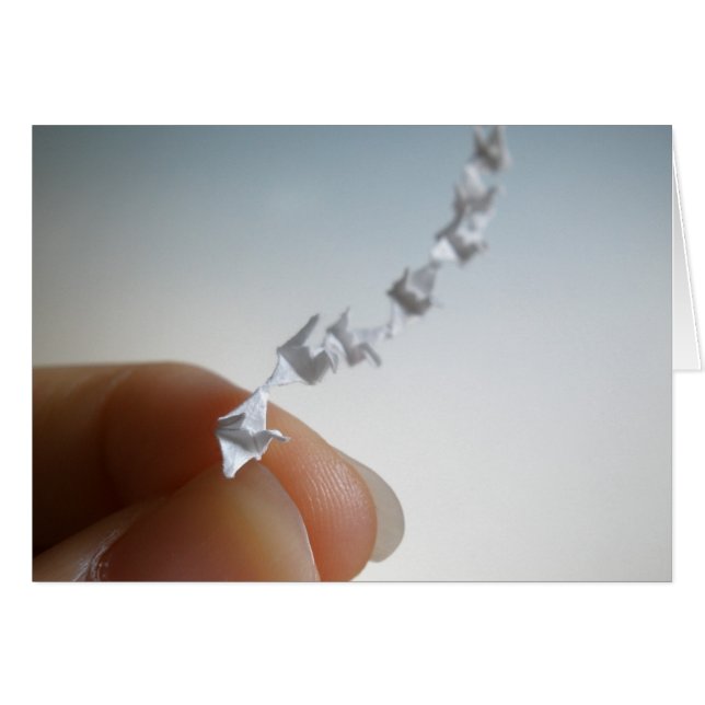 Fliegen (Vorderseite (Horizontal))