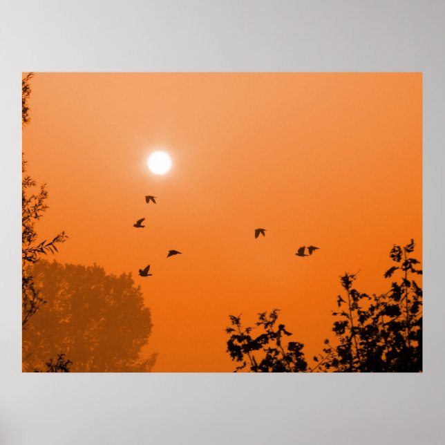 Fliegen bei Morgendämmerung Poster (Vorne)