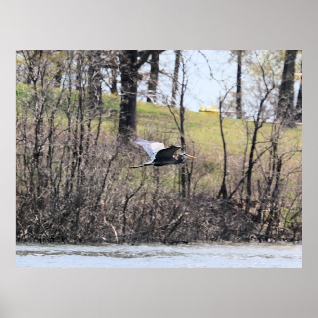 Fliegen durch poster (Vorne)