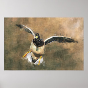 Fliegen-Enten-Plakat Poster