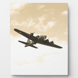 Fliegen-Festung im Flug Fotoplatte