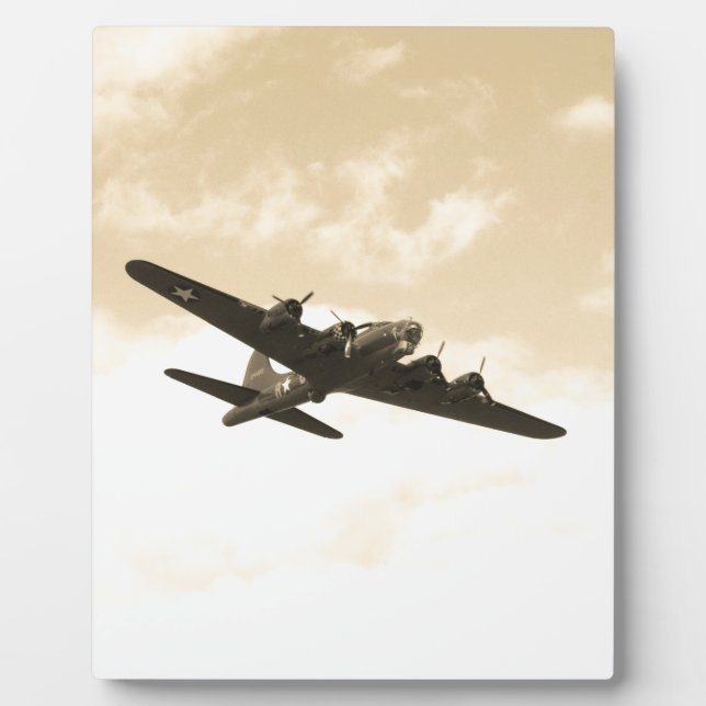 Fliegen-Festung im Flug Fotoplatte (Vorderseite)