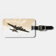 Fliegen-Festung im Flug