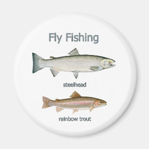 Fliegen-Fischen-Regenbogenforelle - Stahlkopf Magnet
