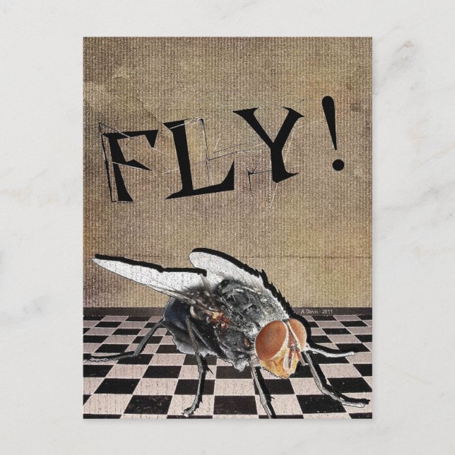 Fliegen! Fliegen! Fliegen! Postkarte (Vorderseite)