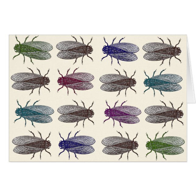 Fliegen/Frucht-Fliegen von Diderots Enzyklopädie (Vorderseite (Horizontal))