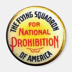 Fliegen-Geschwader - Magnet