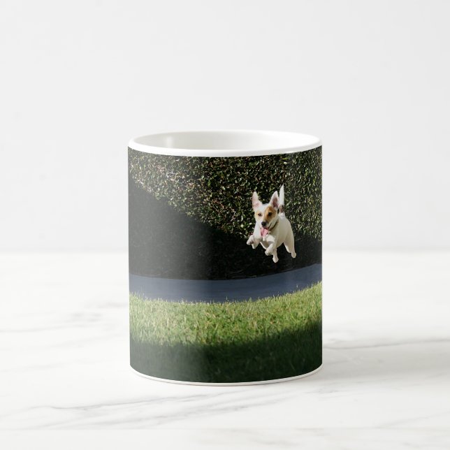 Fliegen-Jack-Russell-Tasse Kaffeetasse (Mittel)