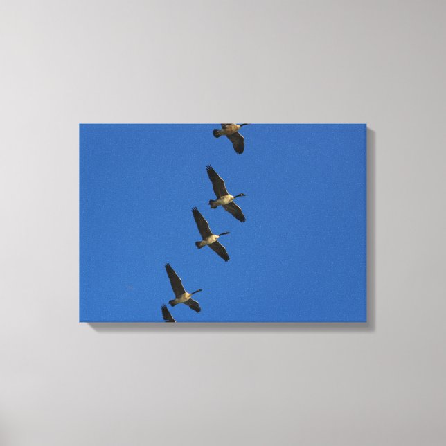 Fliegen Leinwanddruck (Vorderseite)