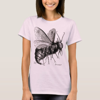 Fliegen-Lord - Frau t T-Shirt
