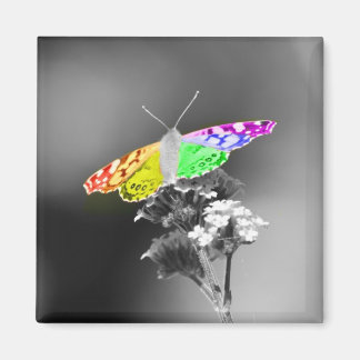 Fliegen mit Stolz Magnet