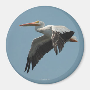 Fliegen-Pelikan-Magnet 5 Magnet