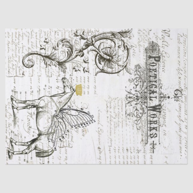 Fliegen-Pferdeskript-Digital-Collagen-Seidenpapier Seidenpapier (Vorderseite)