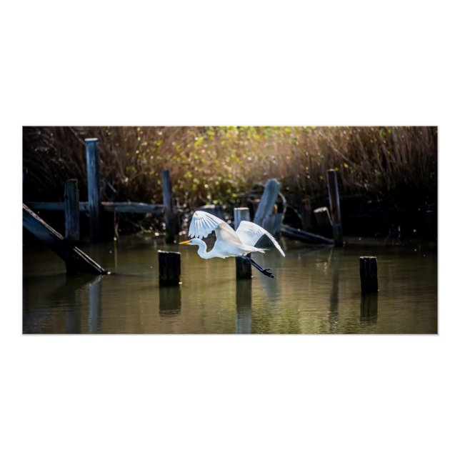 Fliegen Poster (Vorderseite)