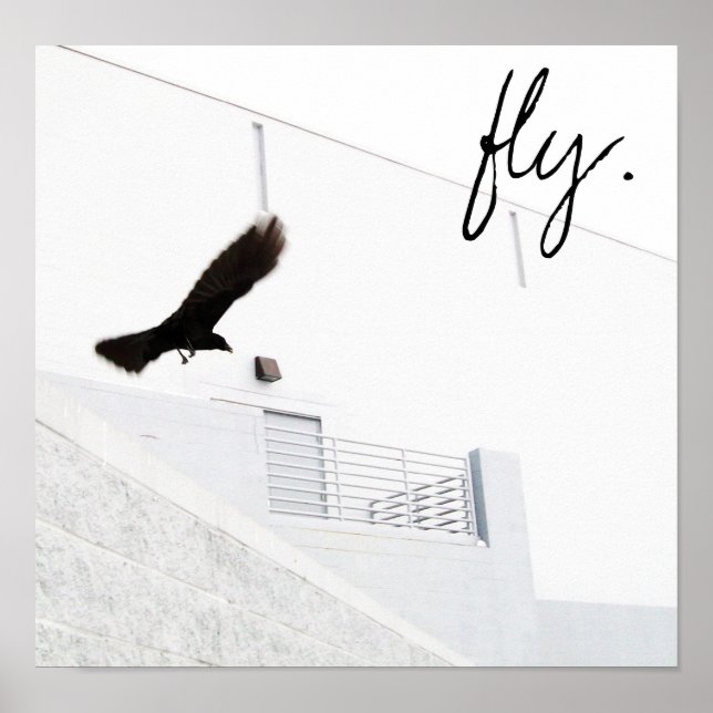 fliegen. poster (Vorne)
