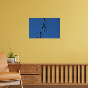 Fliegen Poster