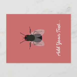 Fliegen Postkarte