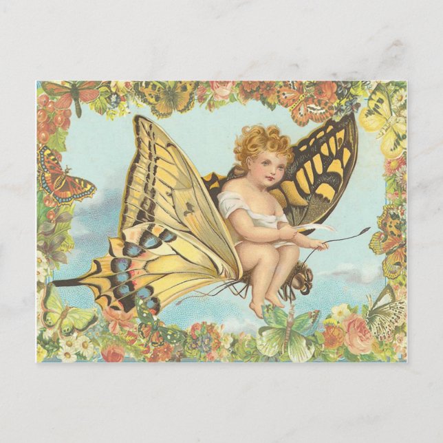 Fliegen Postkarte (Vorderseite)