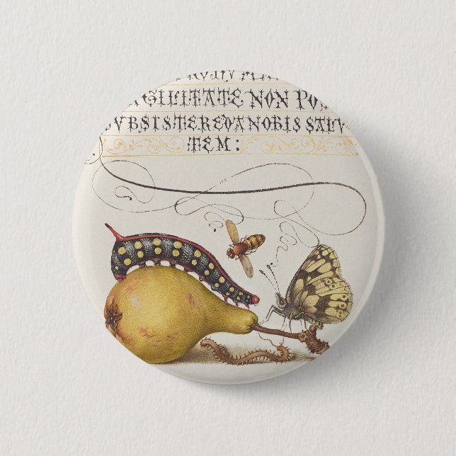 Fliegen, Raupe, Birne und Zentipede aus Mira Button (Vorderseite)