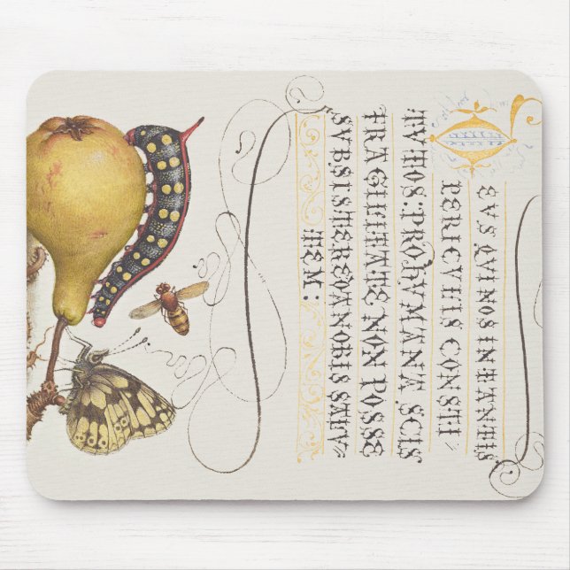 Fliegen, Raupe, Birne und Zentipede aus Mira Mousepad (Vorne)